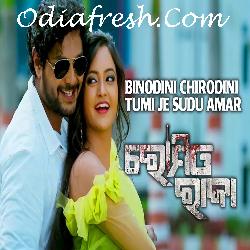 Binodini Chirodini Tumi Je Sudhu Amar